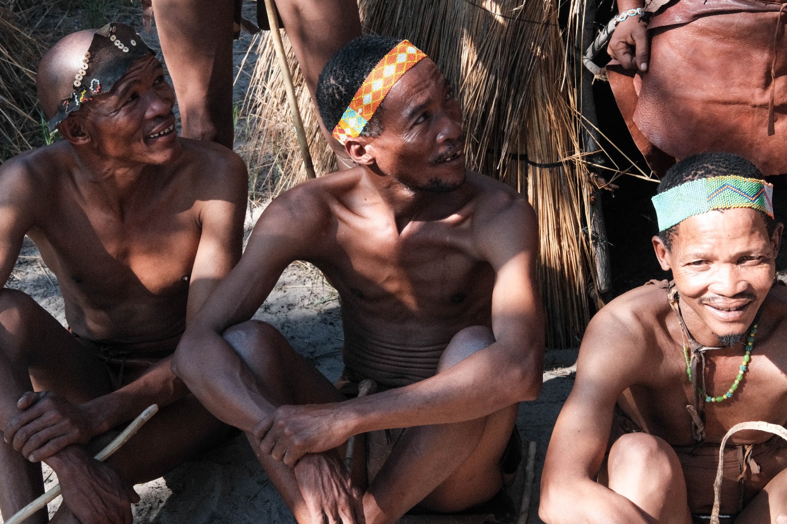Photography Botswana tours