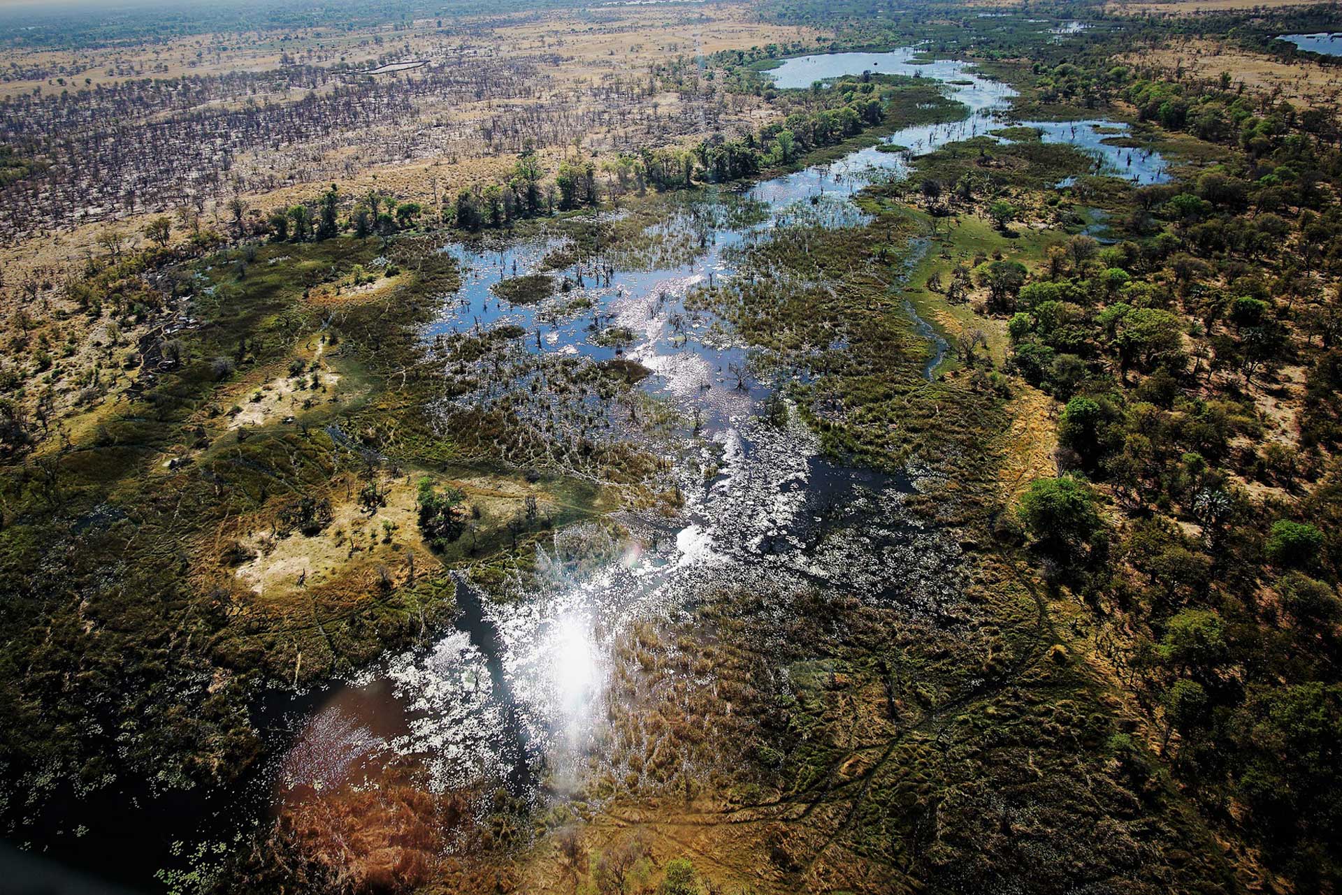 Makgadikgadi Pans, Authentic Botswana Tours