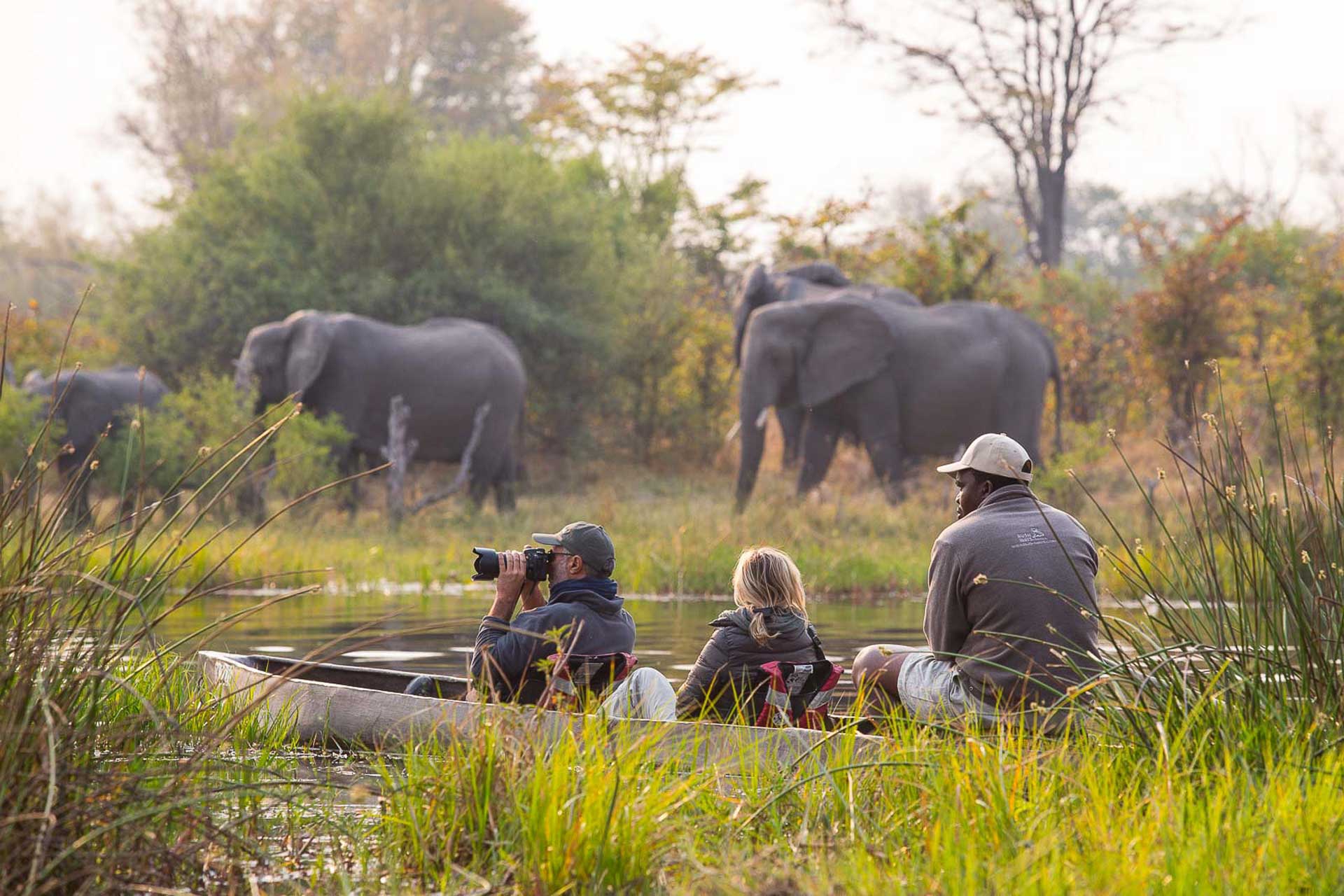Photography Tours Botswana - waterways and canals on foot and or by boat