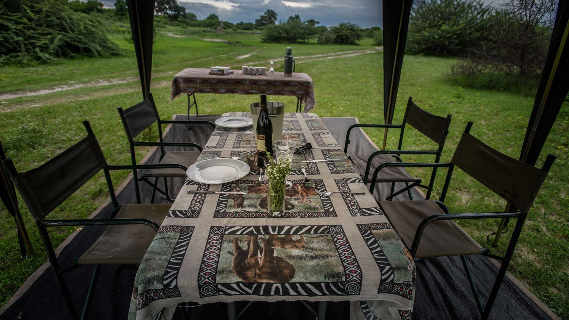 Dining in the wild