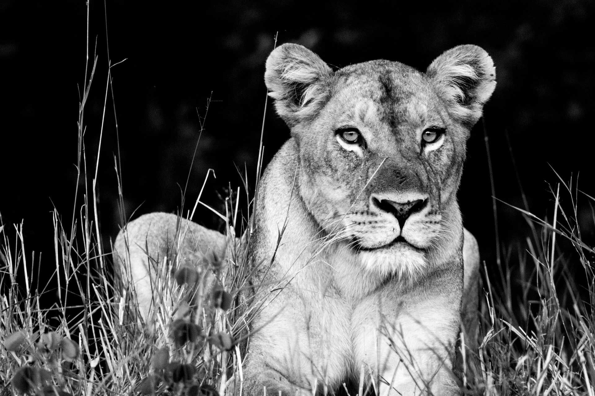 Photography Botswana