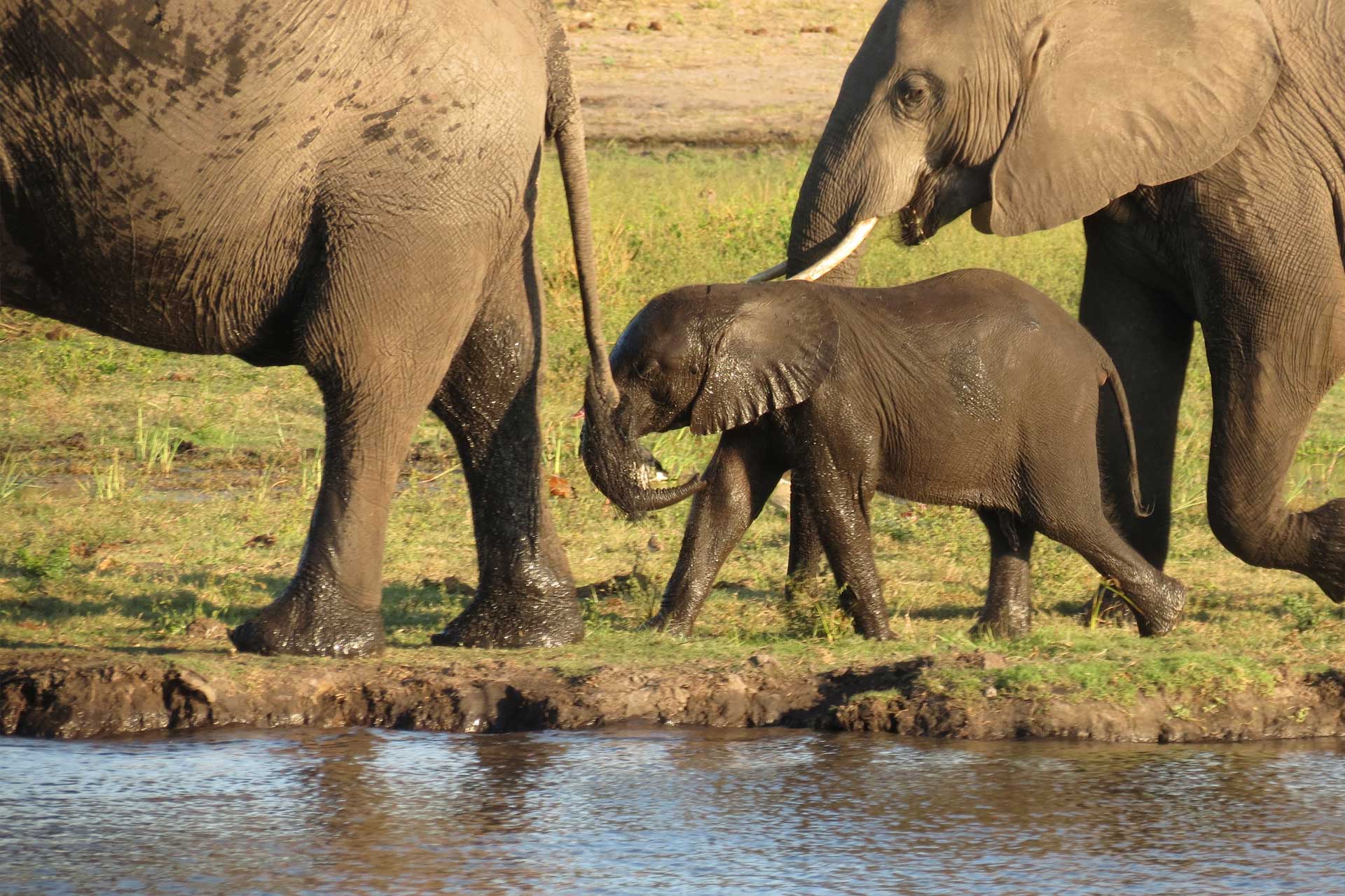Photography Tours Botswana